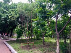 -吉林大学(南岭校区)