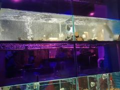 -探秘12时海鲜生蚝排档