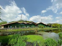 -西湖风景区-江洋畈生态公园