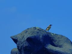 -上海月湖雕塑公园