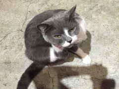 -MIKAKU(万达广场上海宝山店)