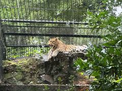 -杭州动物园