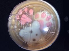 iphone_upload_pic-85度C(苏州石路店)