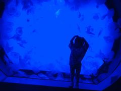 -沈阳海洋探索中心