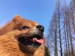 -幸福蓝海影城(上海闵行日月光中心杜比全景声店)