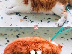 -小时光咖啡馆(北锣鼓巷店)