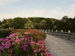 -汤山公园