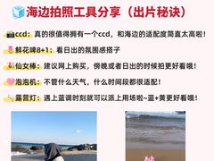 -日照世帆赛基地