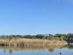 -野鸭湖国家湿地公园