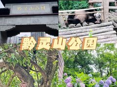 -黔灵山公园