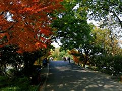 -苏堤停车场