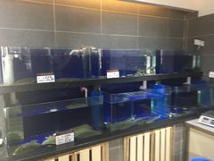 水产区-船歌鱼水饺(高新园区店)