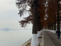 -东湖落雁景区