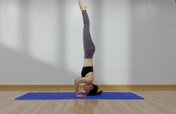 -亚太瑜伽普拉提学院