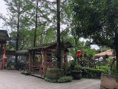 -青城甲(青城山店)