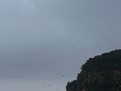 -棒棰岛宾馆景区