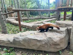 -北京野生动物园