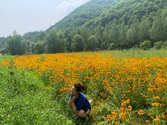 -兰河峪第117加油站