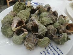清蒸小海螺-北戴河庆山饭店·海鲜砂锅粥(北戴河黑石路店)
