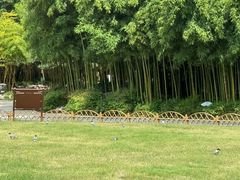 -个园