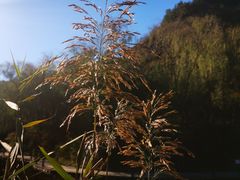 -仙居谷风景区
