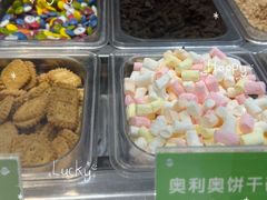 -Salud撒露欧洲冻酸奶(蓝色港湾店)