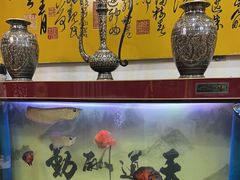 -伊帆食府·青海地方特色美食