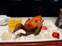 -大鸽饭(动物园店)