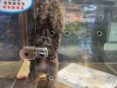 -FAELING PETS美天灵宠物(富力广场店)