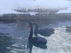 -水磨沟公园