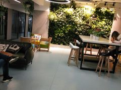-引领英语·成人口语·雅思托福