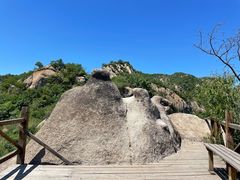 -大岭沟猕猴桃谷风景区