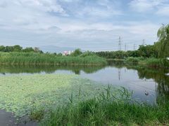 -门城湖公园