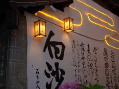 -蘑统田下·野生菌火锅