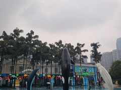 -海合安成都极地海洋公园