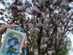 -洛阳市隋唐城遗址植物园