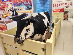 -红星前进面包牛奶公司(君太店)