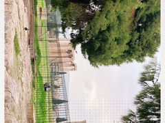 -奥林匹亚宙斯神庙