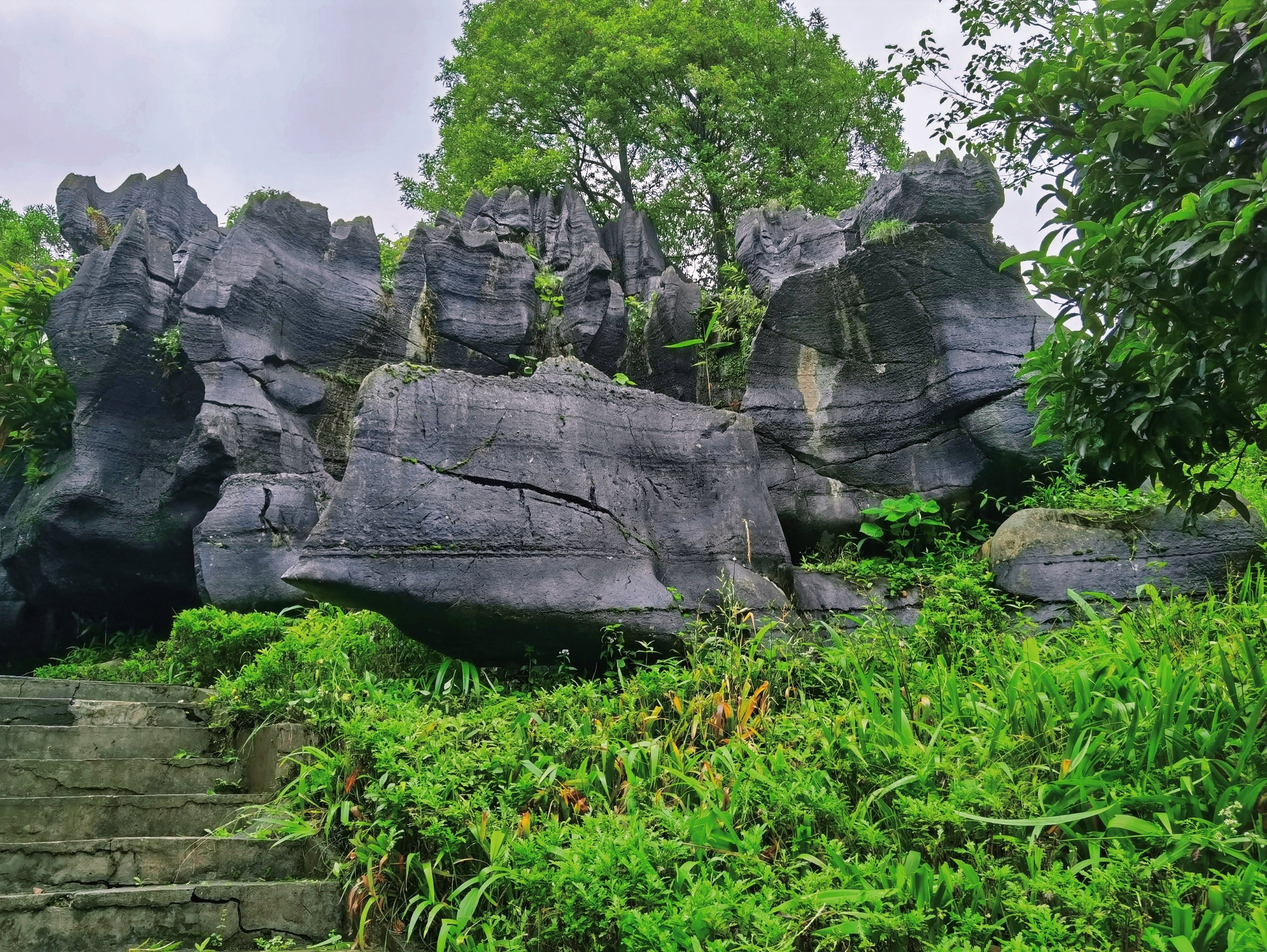 黑山谷石林门票图片