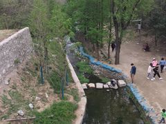 -白水寺森林公园