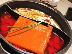 -园里火锅(仁和新城店)