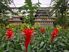 -南宫五洲植物乐园
