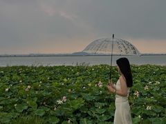 -七的湖·晚芳亭·阳澄湖农家菜·大闸蟹(莲花岛店)