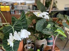 -Blac+Blac(中海环宇荟店)