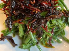 昭通椒丝油鸡枞麦瓜尖-泓0871臻选云南菜·味庄