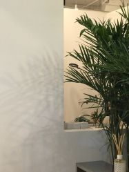 -姜美堂·蒸姜除湿の纤体美颜馆