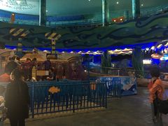 -青岛嘉年华主题乐园