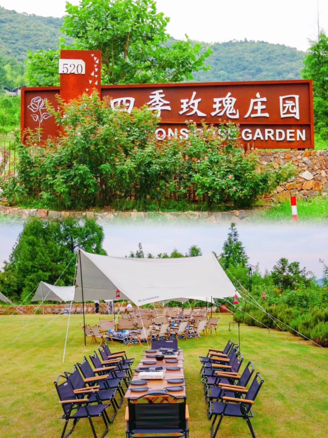 公主9499请来玫瑰庄园坐坐叭95