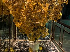 -丽晶大班SPA(大沽店)