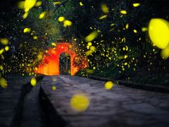 -灵谷景区